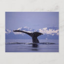 Search for inside passage postcards Usa