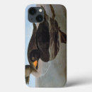 Search for duck ipad cases John james audubon
