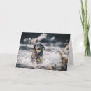 Search for labrador cards Water