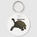 Search for galapagos islands key rings Reptile