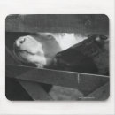Search for noses mouse mats Close up