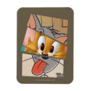 Search for cat and mouse magnets Tom the cat