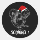 Search for funny squirrels stickers Cute
