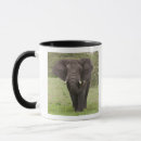 Search for elephant trunk mugs Nature