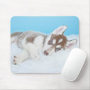 Search for blankets mouse mats Dog