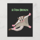 Search for gliders postcards Sugar glider