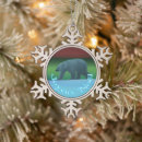 Search for northern lights christmas tree decorations Nature