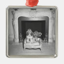 Search for poodle christmas tree decorations Sitting