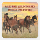 Search for mustangs labels Animals