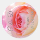 Search for stylish pink roses flowers stickers Bride