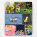 Search for cute frog mouse mats Nature