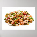 Search for legume posters White