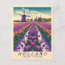Search for windmill postcards Tulip