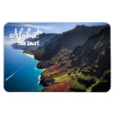 Search for pali magnets Tropical