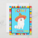 Search for american eskimo dog postcards Spitz