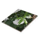 Search for star shape tiles Floral