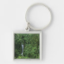 Search for hanging key rings Rainforest
