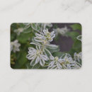 Search for fern business cards Floral