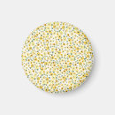 Search for seamless magnets Background