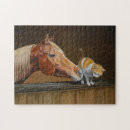 Search for equestrian puzzles For horse lovers