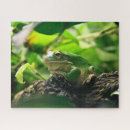 Search for darts puzzles Frog