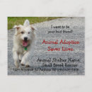 Search for small dog breed postcards Pet