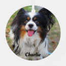 Search for papillon christmas tree decorations Pet