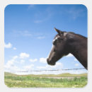 Search for horse pictures stickers Wild west