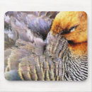 Search for wild duck mouse mats Nature