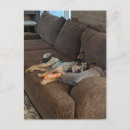 Search for heeler postcards Blue