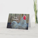 Search for chicken cards Farm bird