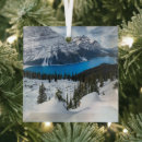 Search for canada christmas tree decorations Canadian rockies