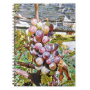 Search for grapes notebooks Fruit