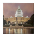 Search for capitol building tiles Architecture