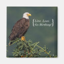 Search for birds of prey magnets Birding