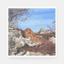 Search for wild rabbit napkins Hare