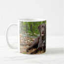 Search for black lab mugs Pets