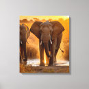 Search for conservation photography African safari