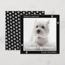 Search for terrier photo cards Westie