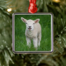 Search for sheep christmas tree decorations Lamb