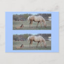 Search for bookmark postcards Horse