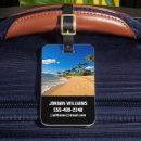 Search for maui accessories Coconut palm tree
