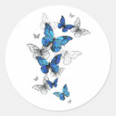 Search for morpho butterfly stickers Butterflies