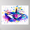 Search for orcas posters Wildlife