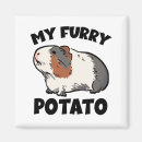 Search for funny pigs magnets Piggy