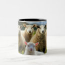Search for sheep herding mugs Lamb