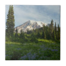 Search for mount rainier tiles Nature