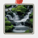 Search for sol christmas tree decorations Forest