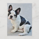 Search for frenchie postcards Puppies