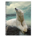 Search for polar bear notebooks Background